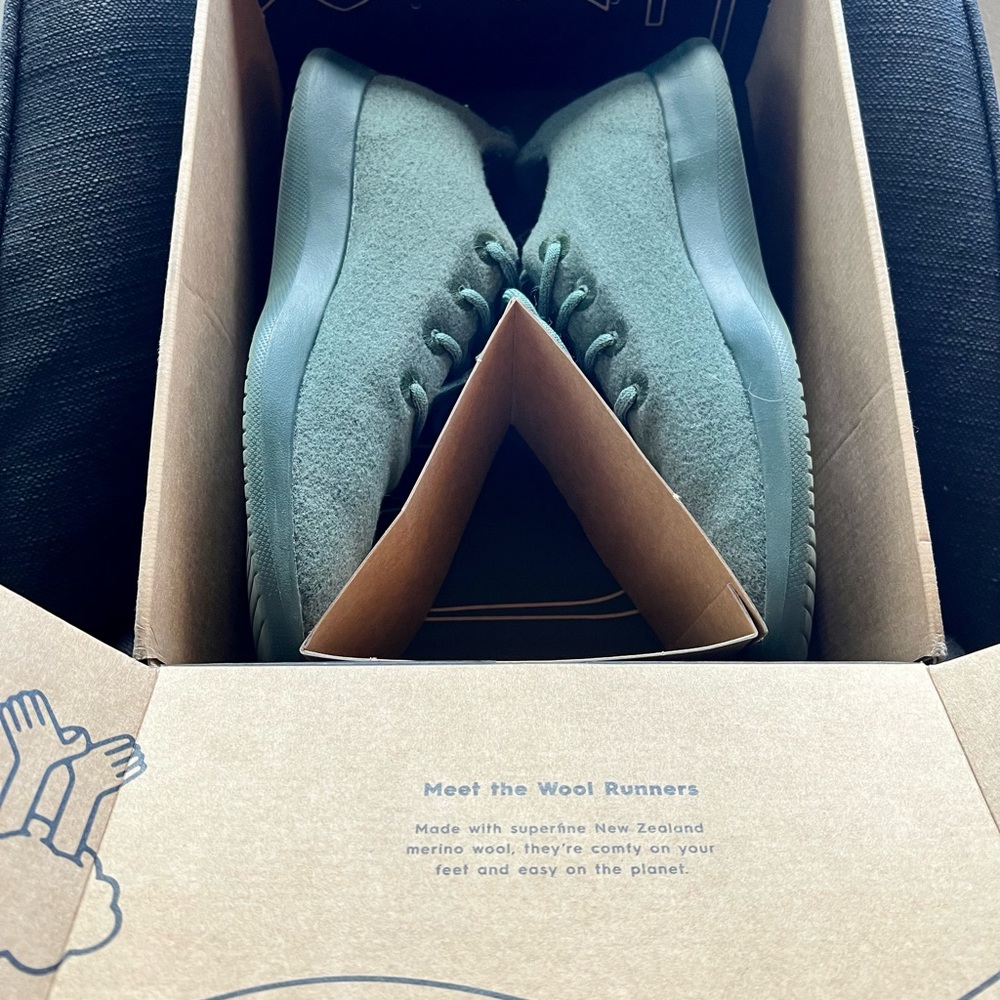 Allbirds wool runners size 12